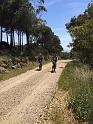 ELBA2019 (454)